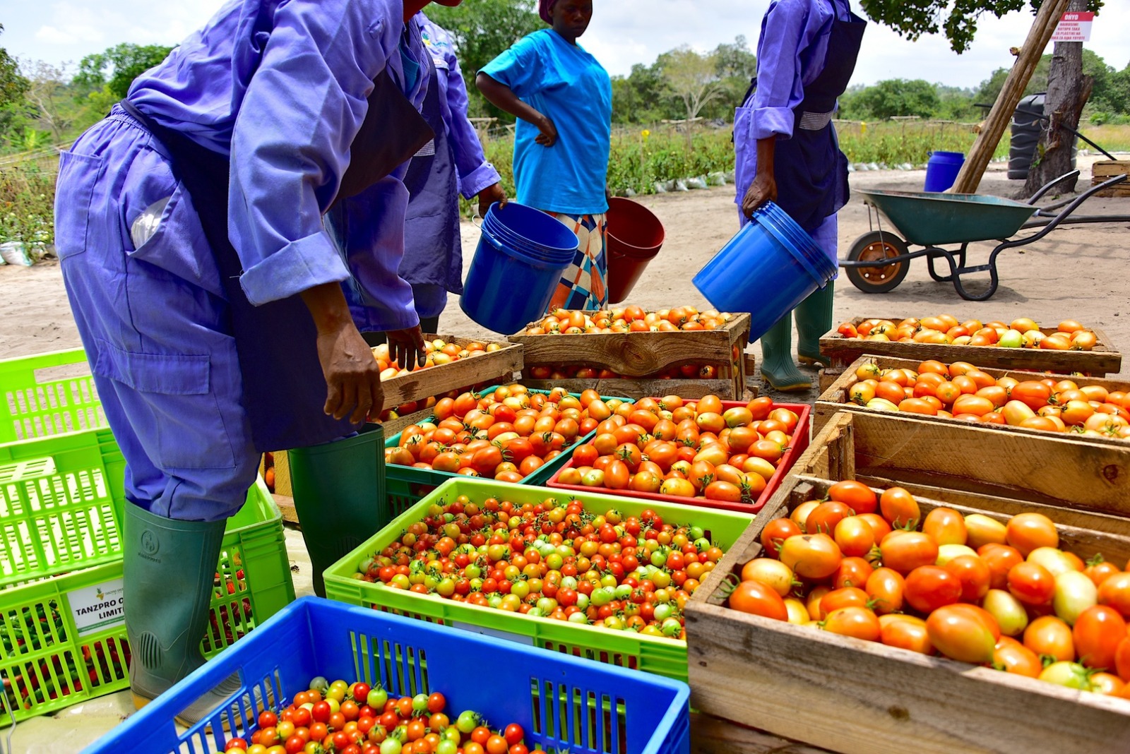Agriculture